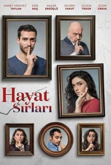 Hayat Sırları (2017) afişi