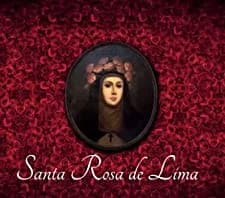 Rosa de Santa Maria (2017) afişi