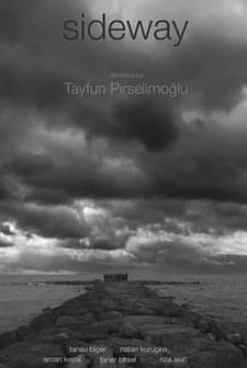 Yol Kenarı (2017) afişi