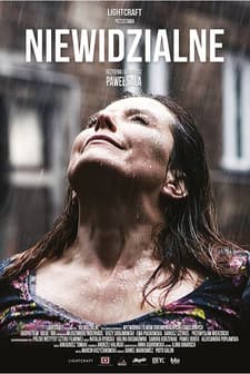 Niewidzialne (2017) afişi