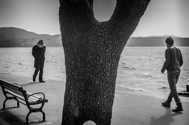 Sakallogia fotoğrafı