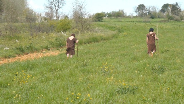 Evrensel Döngü: Yaşam Ağacına Yolculuk Fotoğrafı