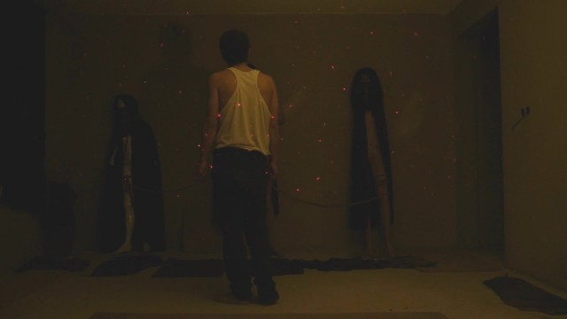 Evrensel Döngü: Yaşam Ağacına Yolculuk Fotoğrafı