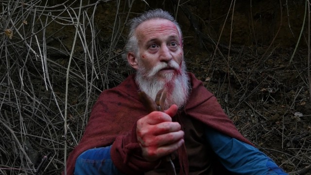 Evrensel Döngü: Yaşam Ağacına Yolculuk Fotoğrafı