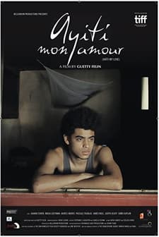 Ayiti mon amour (2016) afişi