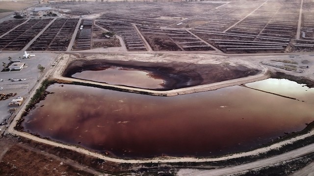 Meat the Future Fotoğrafı