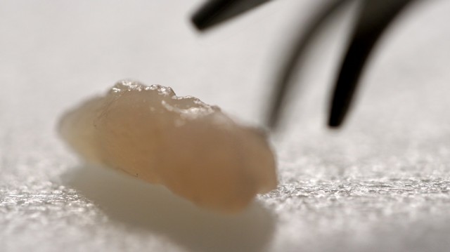 Meat the Future fotoğrafı