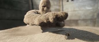 Örümcek-Adam 3 Fotoğrafı