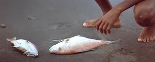 Yedinci İşaret fotoğrafı