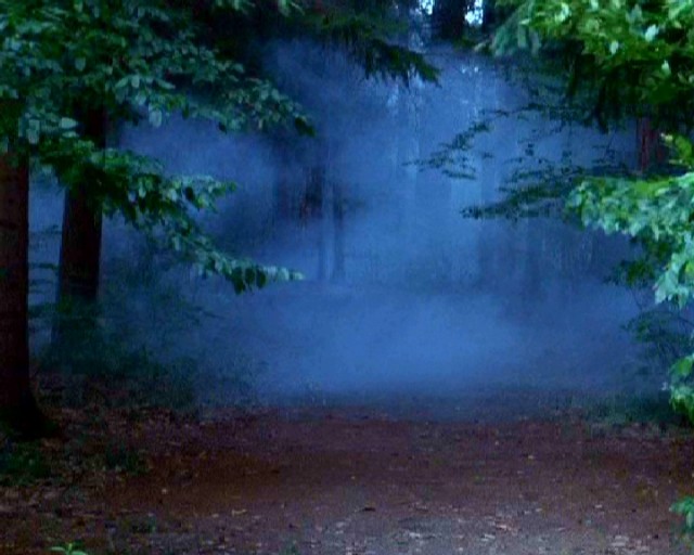 Avalon'un Sisleri Fotoğrafı