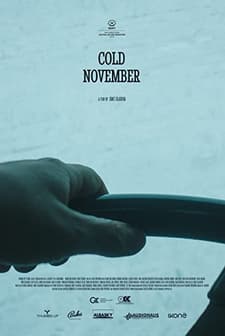 Cold November (2018) afişi