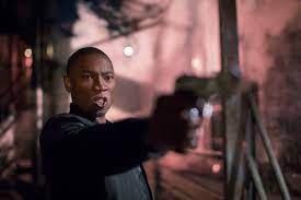 All the Animals Come Out at Night fotoğrafı