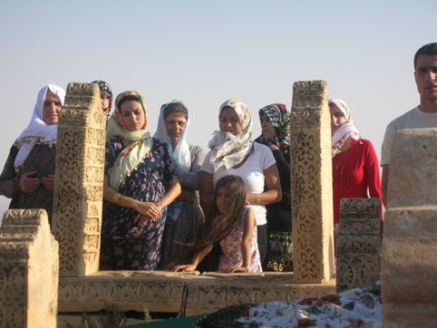 İncir Çekirdeği Fotoğrafı