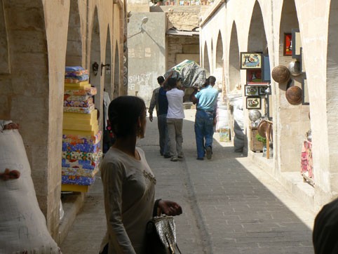 İncir Çekirdeği Fotoğrafı