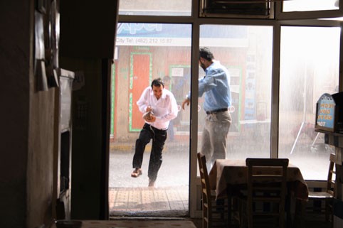 İncir Çekirdeği Fotoğrafı