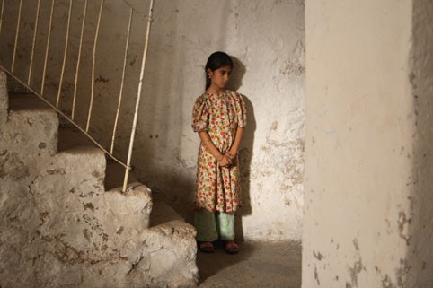 İncir Çekirdeği fotoğrafı