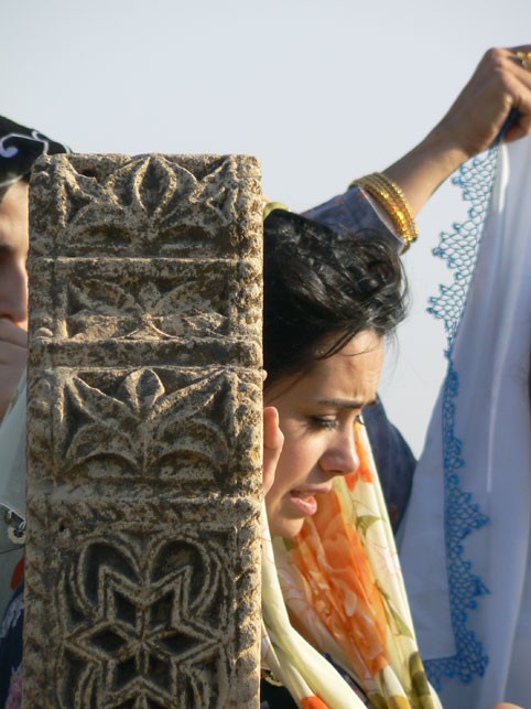 İncir Çekirdeği Fotoğrafı