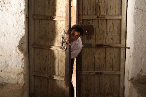 İncir Çekirdeği Fotoğrafı