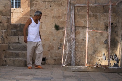 İncir Çekirdeği Fotoğrafı