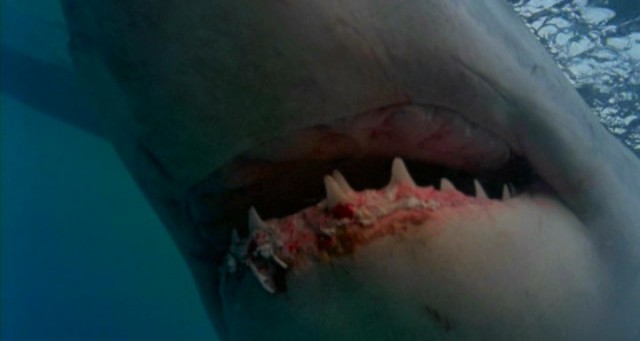 Venedik'te Dehşet fotoğrafı