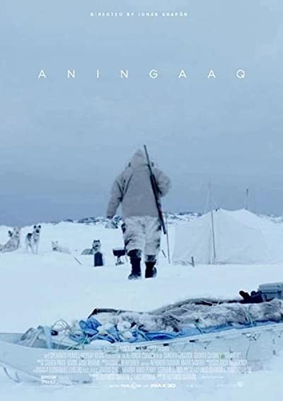 Aningaaq (2013) afişi