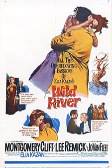 Wild River (1960) afişi