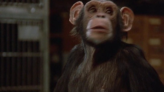 Back To School Fotoğrafı