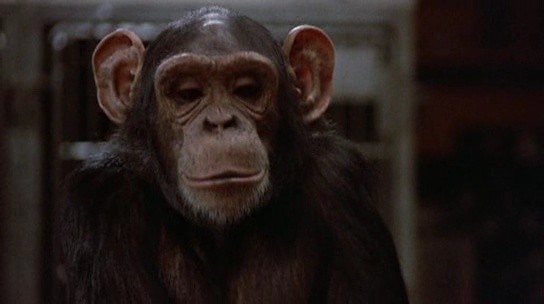 Back To School fotoğrafı