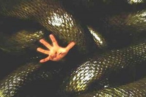 Anaconda 2: Lanetli Orkidenin Peşinde Fotoğrafı