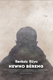 Renksiz Rüya (2017) afişi