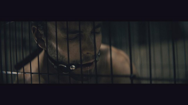 Çiftlik Fotoğrafı