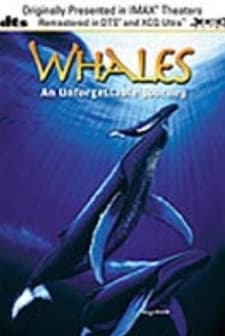 Whales: An Unforgettable Journey (1997) afişi