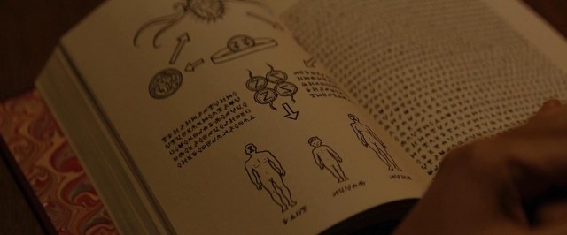 Vivarium fotoğrafı