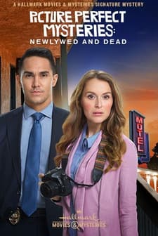 Picture Perfect (2019) afişi