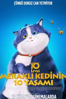 Meraklı Kedinin 10 Yaşamı (2024) afişi