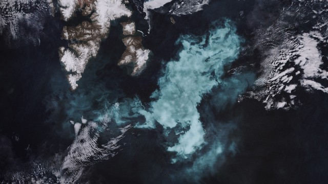 Sıradışı Bir Kaya Fotoğrafı