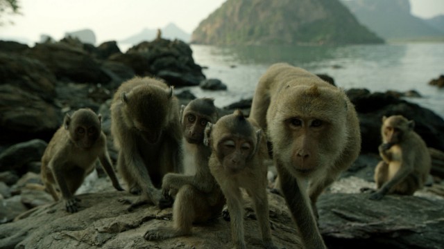 Sıradışı Bir Kaya fotoğrafı