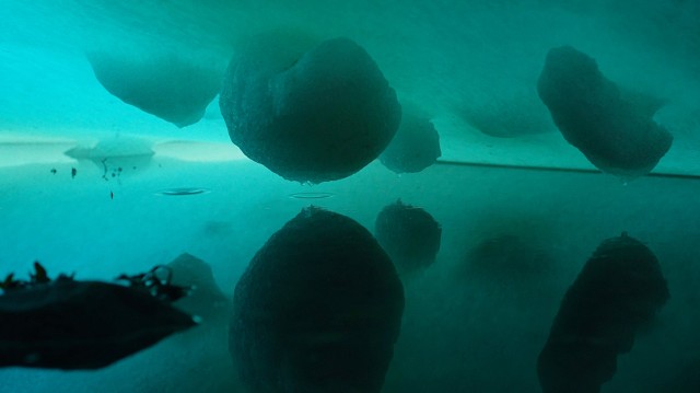 Sıradışı Bir Kaya Fotoğrafı