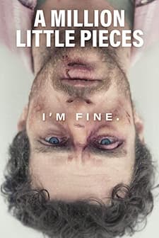 A Million Little Pieces (2018) afişi