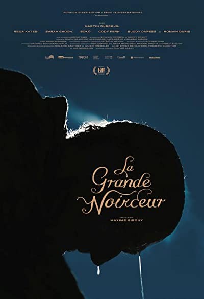 The Great Darkened Days (2018) afişi