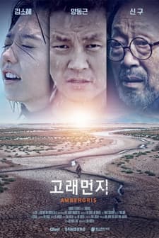 Ambergris (2018) afişi