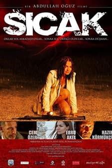 Sıcak (2008) afişi