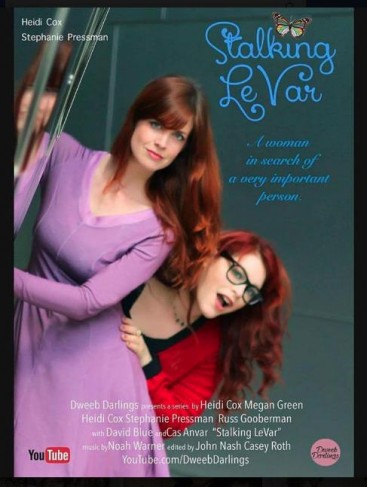 Stalking LeVar (2013) afişi
