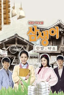 Samsaengi (2013) afişi