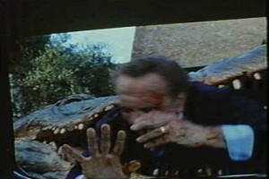 Alligator fotoğrafı