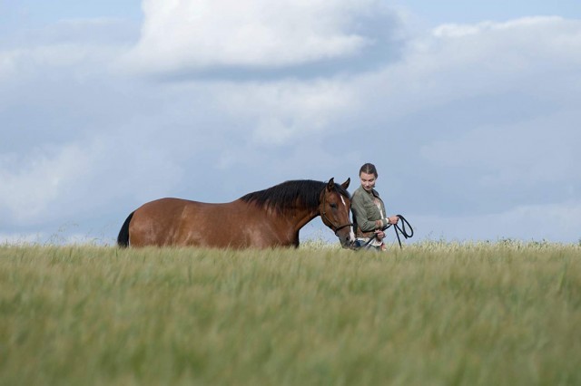Immenhof - Das Abenteuer eines Sommers fotoğrafı