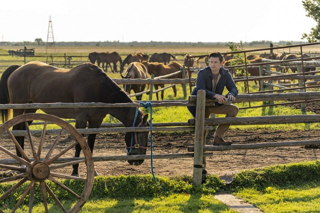 Under the Autumn Moon Fotoğrafı