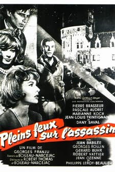 Spotlight on a Murderer afişi