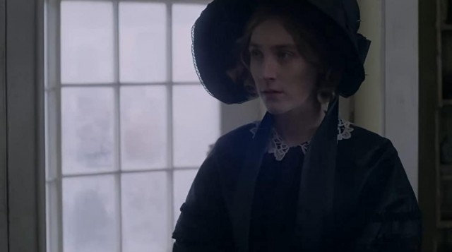 Ammonite Fotoğrafı