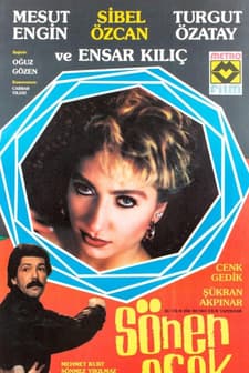 Sönen Ocak (1993) afişi